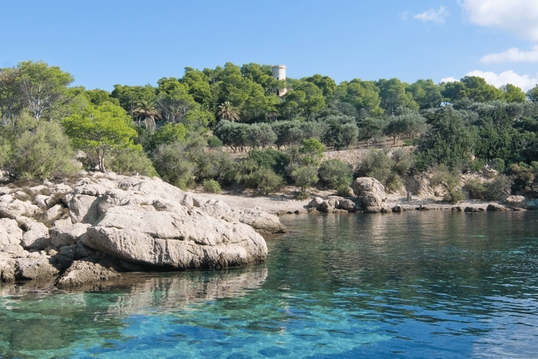 Mallorca: Boat Transfer between Port Andratx and Sant Elm Andratx: Boat Transfer to Sant-Elm