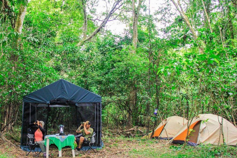 From Iquitos ||3-day tour Pacaya Samiria National Reserve ||