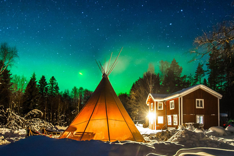 Hudiksvall: Dog Sledding Tour with Bonfire and Refreshment