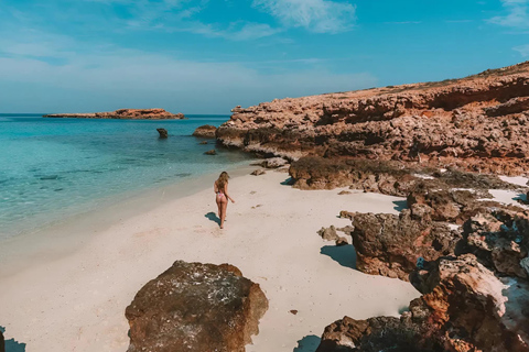 Muscat: Dimaniyat Islands Snorkeling Trip with Hotel Pickup Afternoon Dimaniyat Islands Snorkeling Trip ( Hotel Pickup )