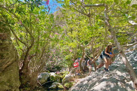 Crète : Randonnée guidée aux chutes d'eau de Richtis