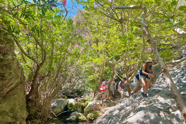 Crète : Randonnée guidée aux chutes d'eau de Richtis