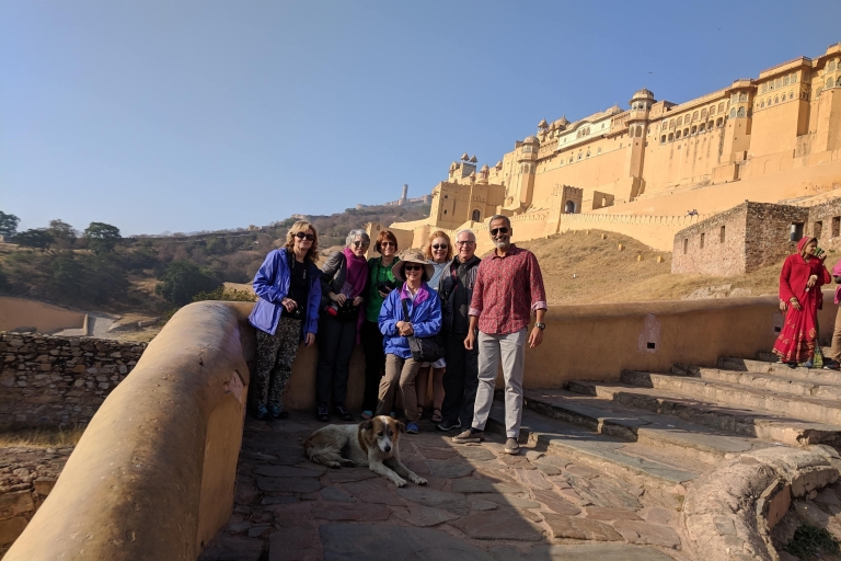 Visite de la ville de Jaipur (journée complète) avec voiture privée, chauffeur et guideExcursion d'une journée à Delhi avec voiture privée, chauffeur et guide