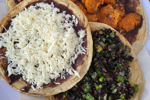 Oaxaca: Sierra Norte Ixtepeji Guided Hike & Lunch, Half-Day