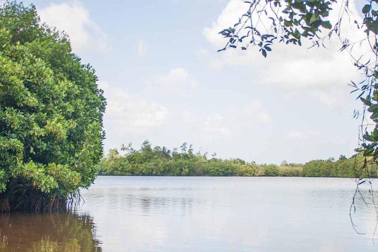 Bentota/Beruwala: Galle Fort, Koggala Lake & Kayaking Tour