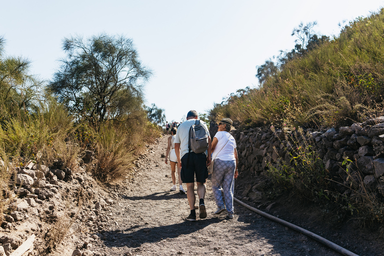 From Naples: All-Inclusive Mount Vesuvius Half-Day TourFrom Naples Rail Station