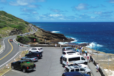 Oahu: Circle Island Tour on a full day or two half days NORTH LOOP - Half-Day: North Shore and Island Flavors.