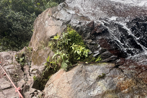 Caguas: Fountain of Youth; Waterfall Hike
