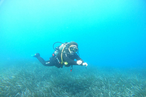 Santorini: Experiencia de submarinismo en la Caldera VolcánicaBuceo