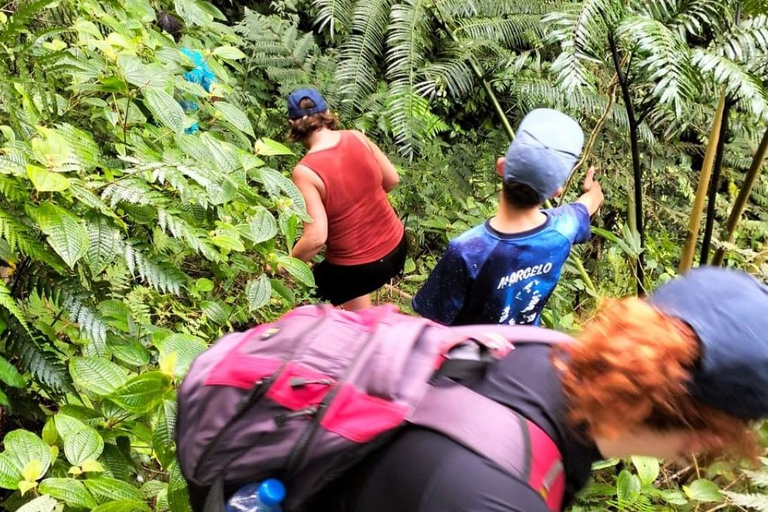 Lautoka: Abaca Waterfall Hike and Swim Day Trip