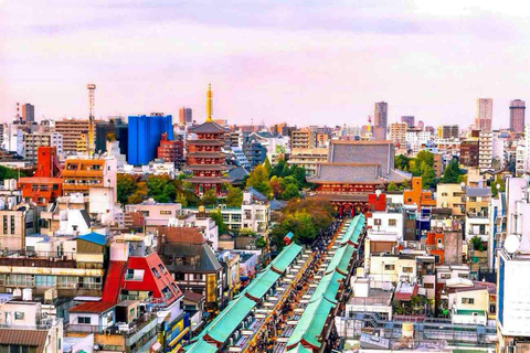 From Tokyo: Tokyo Full Day Private Sightseeing City Tour ITINERARY B:Tokyo Private Customized Tour With English Guide