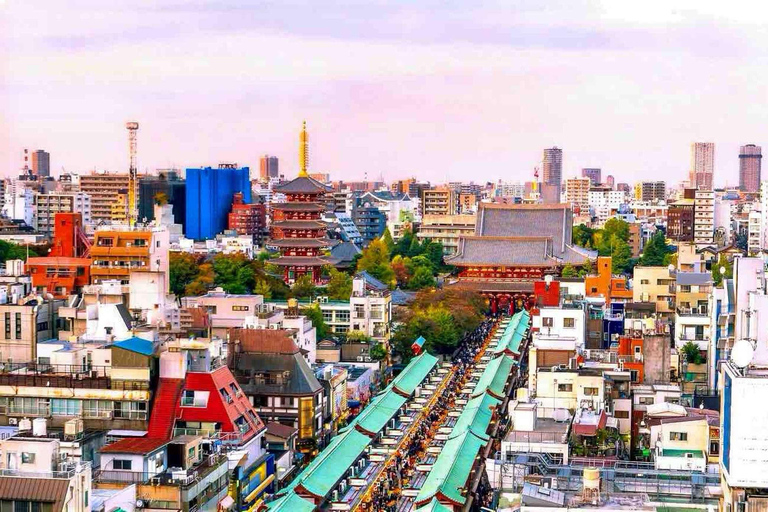 From Tokyo: Tokyo Full Day Private Sightseeing City Tour ITINERARY B:Tokyo Private Customized Tour With English Guide