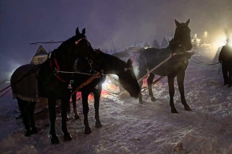 Krakow: Zakopane Snowmobile & Kulig Day Trip with Dinner