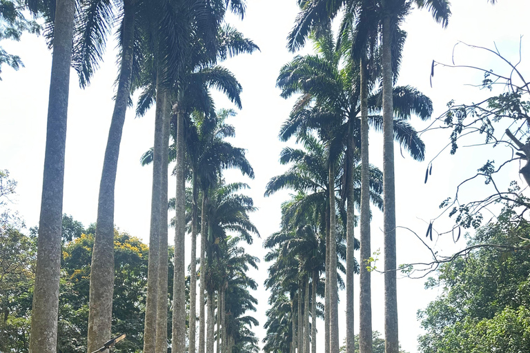 Full Day Tour: Aburi Botanical Gardens, ATV, & Waterfalls