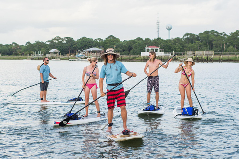 Charleston: Folly Beach Stand Up Paddleboard Dolphin Safari Morning Stand Up Paddleboard Dolphin Safari