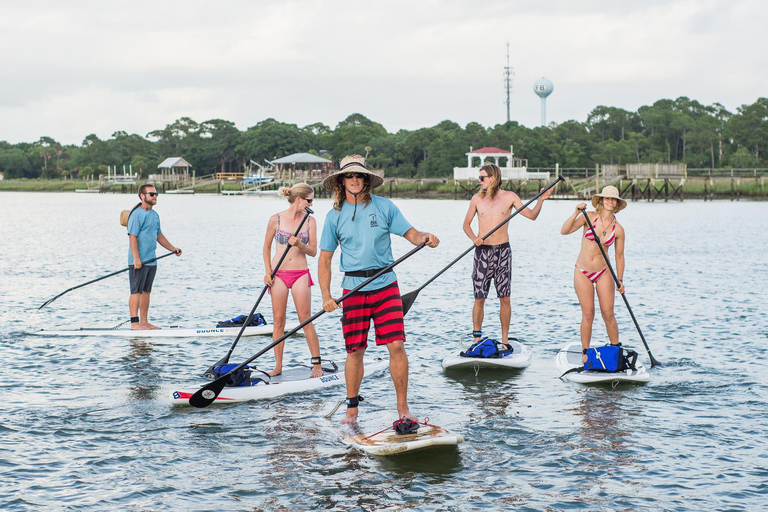 Charleston: Folly Beach Stand Up Paddleboard Dolphin Safari Morning Stand Up Paddleboard Dolphin Safari