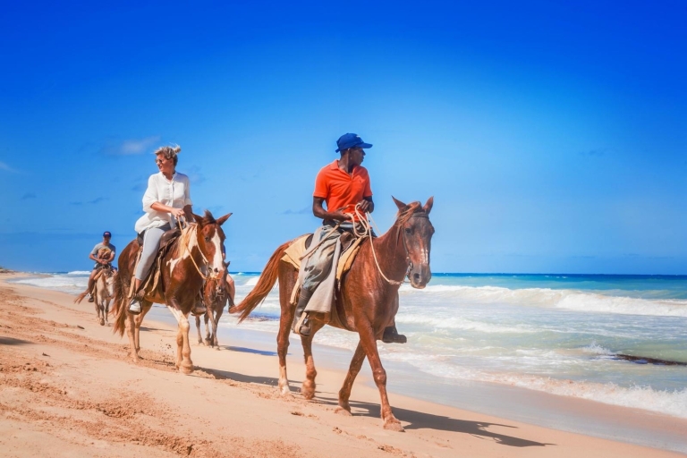 Hurghada: paardrijtocht langs de zee en woestijn met transfers2 uur: paardrijtocht langs de zee en de woestijn met transfers