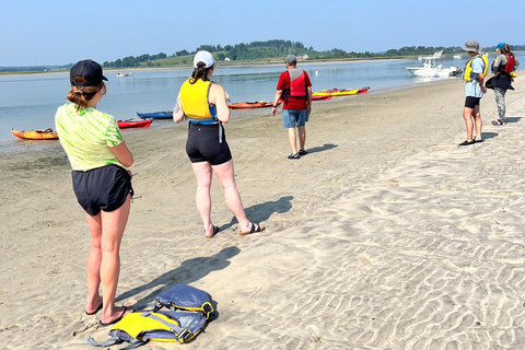 From Boston: Guided Kayak Adventure at the Crane Estate