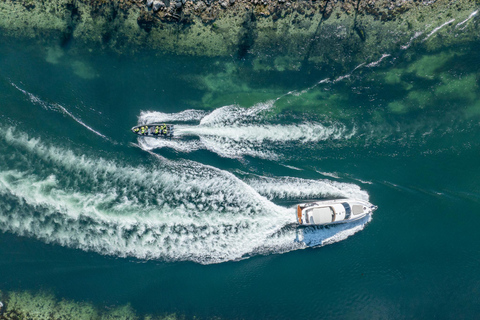 Bergen: Modalen RIB Fjord Safari with Lunch & Transfer