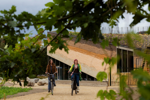Eindhoven: Museumpark VONK Entry Ticket