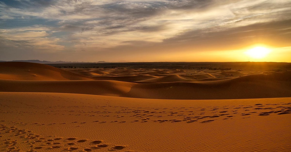 Zagora Dniowa Wycieczka Na Pustyni Z Marrakeszu Getyourguide