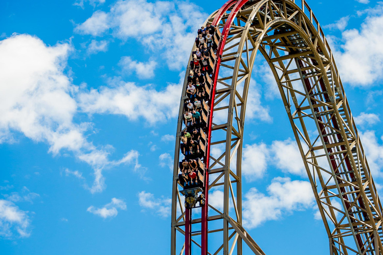 Zator: Energylandia Amusement Park Entry Ticket