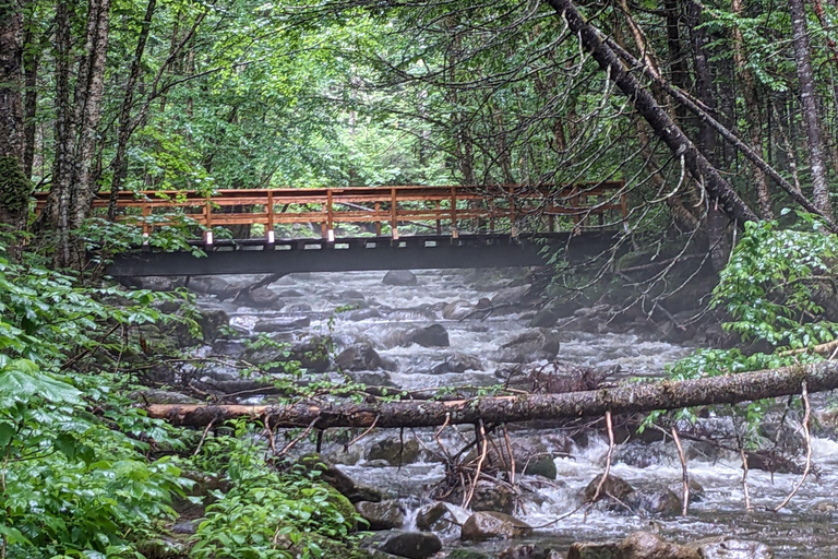 All-Inclusive Guided Hike to Jacques-Cartier National Park All-Inclusive Guided Hiking Tour