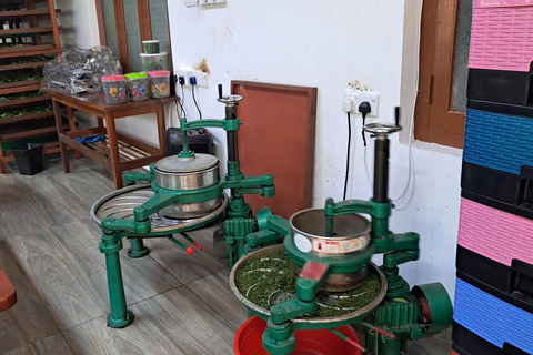 Ella: Organic Tea Plantation Tour with Tea Making & Tasting