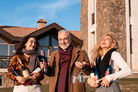 Khor Virap and Noravank with Tushpa and Momik Wine Tastings