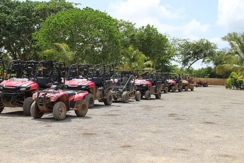 Private: Puerto Plata ATV Tour with Monkey Sanctuary & Lunch