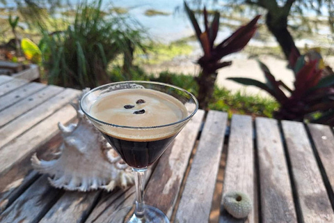 Tropical cocktail tour to the west coast of Zanzibar Tropical cocktail tour to the west coast of Zanzibar, hotel pick-up