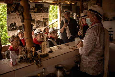 Tour de café saindo de Medellín com almoço e degustação de café