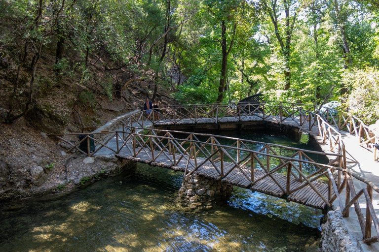 Rhodes: Filerimos & Valley of the Butterflies & Wine Tasting Tour With Pick up From FALIRAKI & KALLITHEA