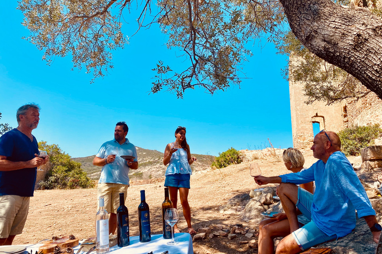 Private Weinverkostungen in den Weinbergen