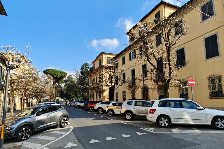 Florence: Tuscany 1-Day Flexible Sightseeing Bus Tour