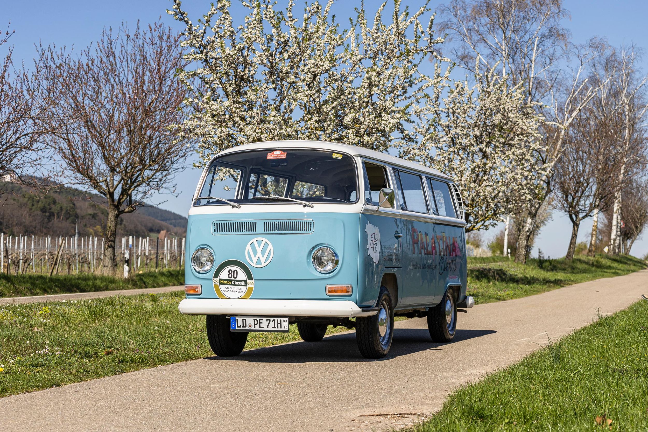 Landau: Tour im Oldtimerbulli durch die Pfälzer Weinlandschaft