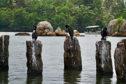 Ontdek de verborgen parels van Galle en eet met localsOntdek de verborgen parels van Galle en de kunst van het lokale dineren