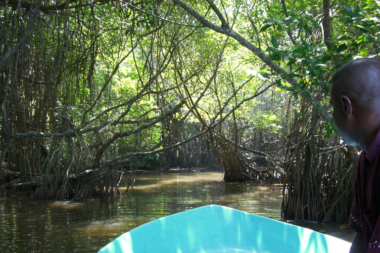 Bentota: River Safari with Hotel Pickup and Drop-off