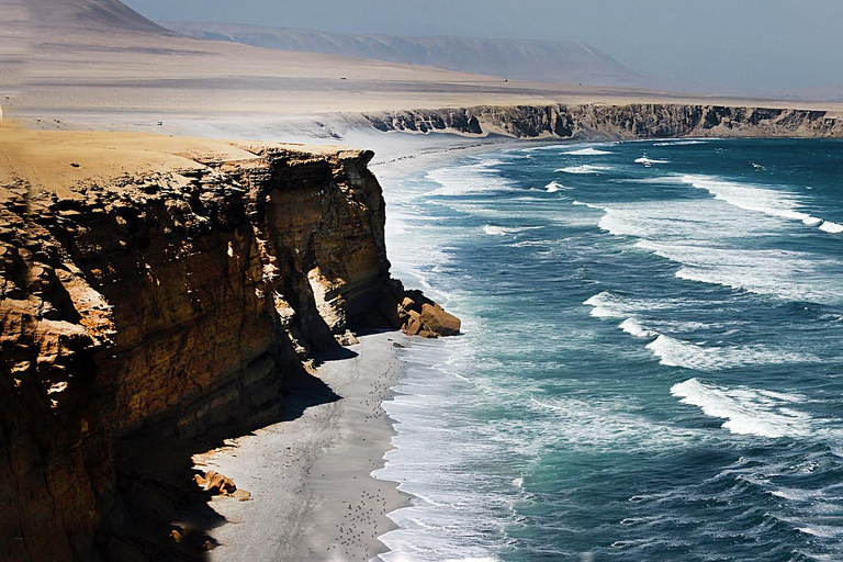 Paracas: Private Paracas National Reserve Tour