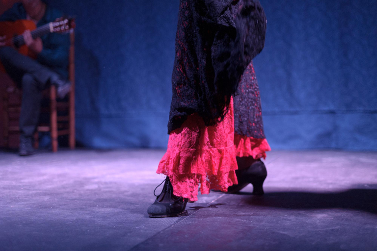 La Soleá Spectacle: Granada's Elite Flamenco Encounter Flamenco Show Experience