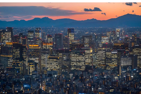 Tokyo: Private Tour: TeamLab, Pokémon & Skytree Customized B itinerary full day customizable Tokyo sightseeing.