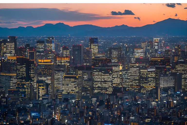Tokyo: Private Tour: TeamLab, Pokémon & Skytree Customized B itinerary full day customizable Tokyo sightseeing.