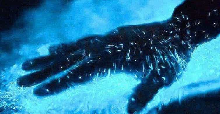 Bioluminescent kayaking Los Arcos Marine Park Puerto Vallarta