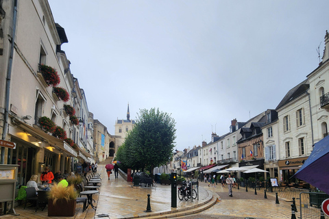 Loire Valley Wine Tour from Paris: 2 Wineries & 10 Tastings Premium Option