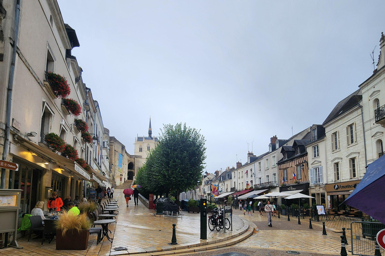 Loire Valley Wine Tour from Paris: 2 Wineries & 10 Tastings Premium Option