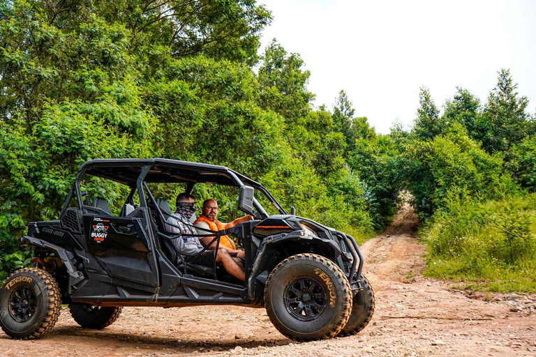Batumi: Buggy, ATV & Horse Adventure with Hotel Transfers