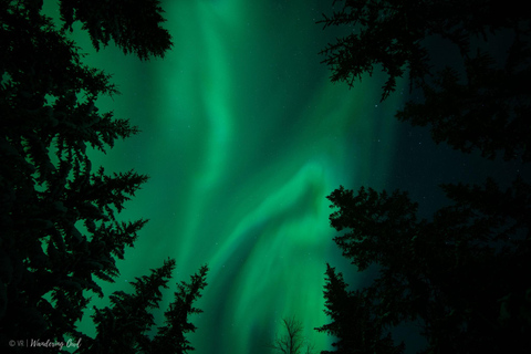LEVI Adults Only Northern Lights Hunt (ALL INCLUDED) Adults Only Aurora Hunt in the Finnish wilderness