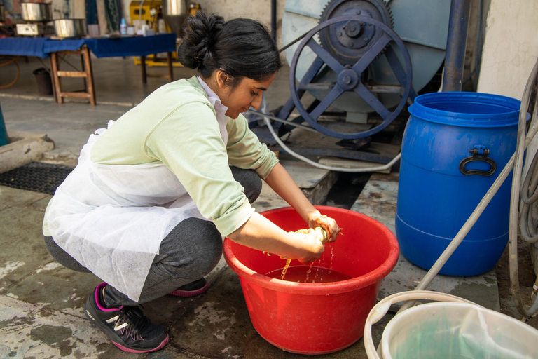 Jaipur: Natürliches Färben, Blockdruck, Tie &amp; Dye Workshop