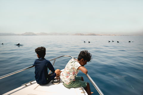 Mascate : tour en bateau pour observer les dauphins