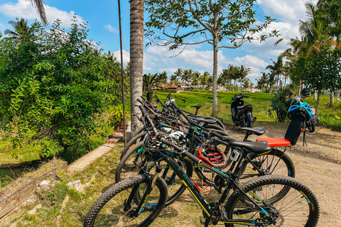 Bici con terrazze di riso e pranzo: tour da Ubud